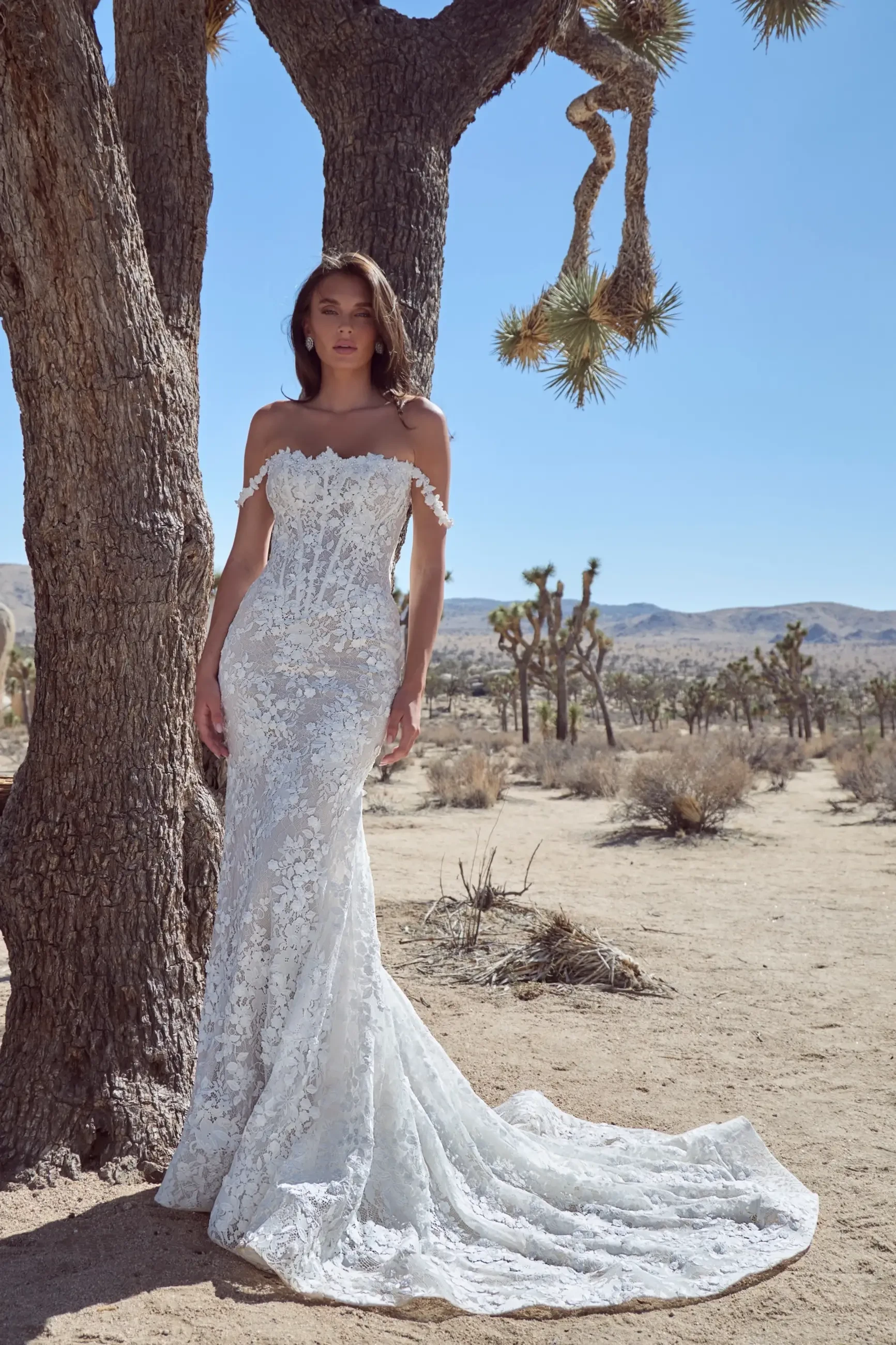 A woman in a beautiful white wedding dress stands in a desert landscape with Joshua trees.