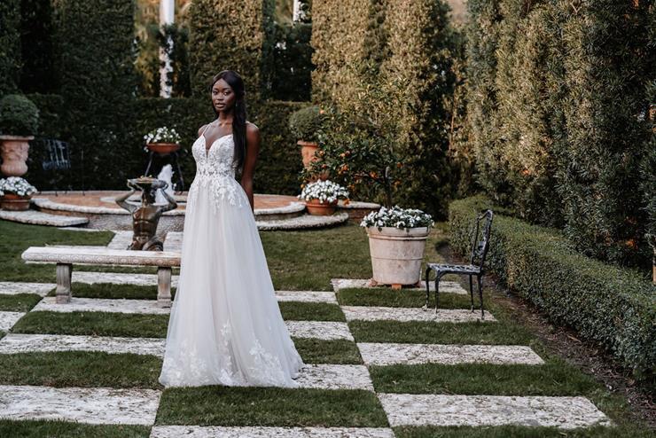 Allure Couture Trunk Show Main Image