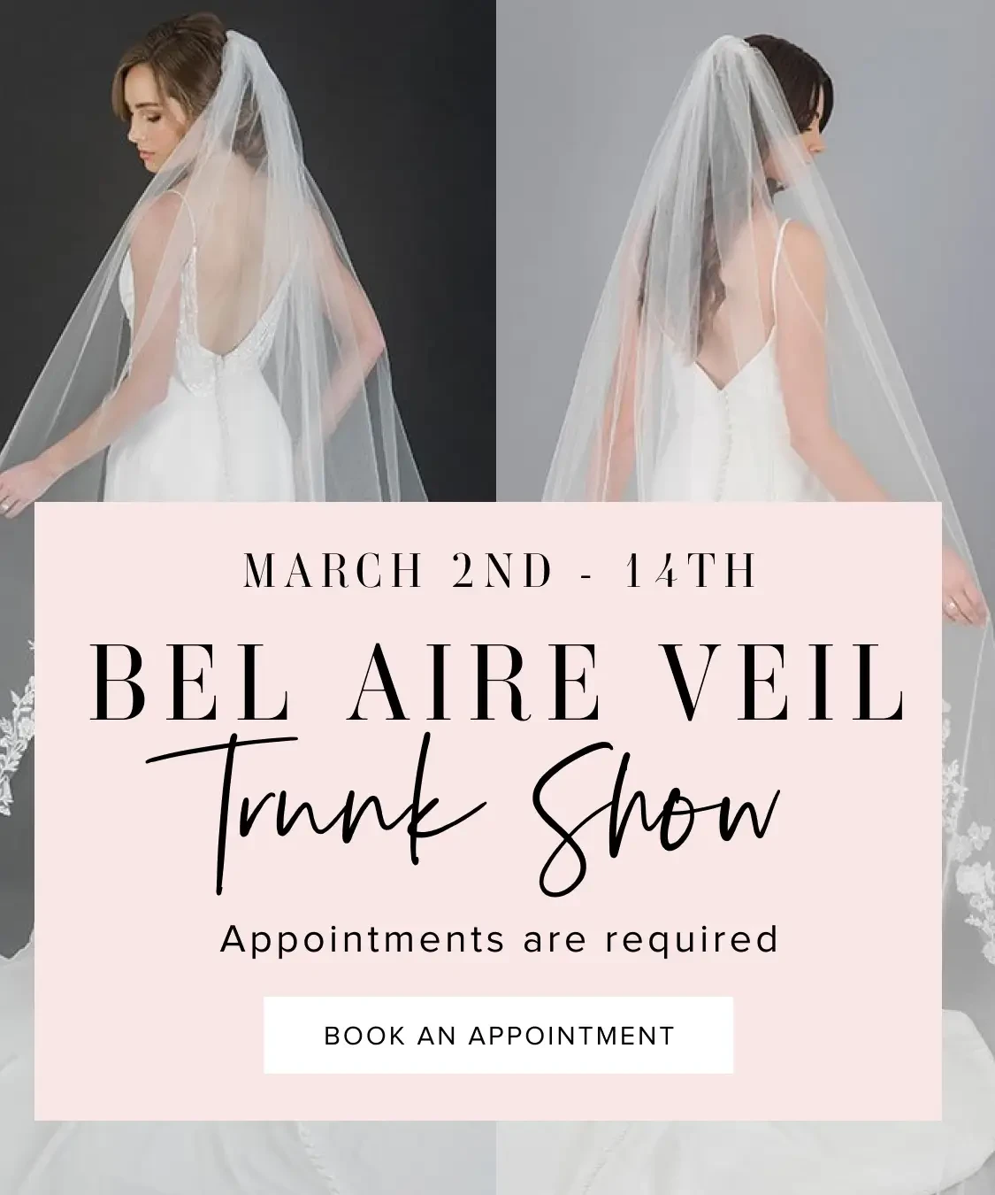 bel aire veil trunk show